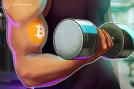Click, Mint, Moon: Is This the Golden Era of Crypto or Just Digital Madness on Steroids?