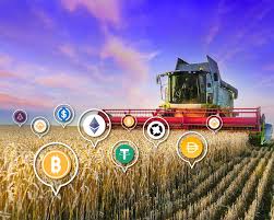 Yield Farms or Yield Traps? The DeFi Gold Rush Nobody Warned You About